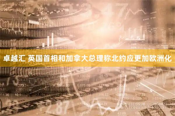 卓越汇 英国首相和加拿大总理称北约应更加欧洲化
